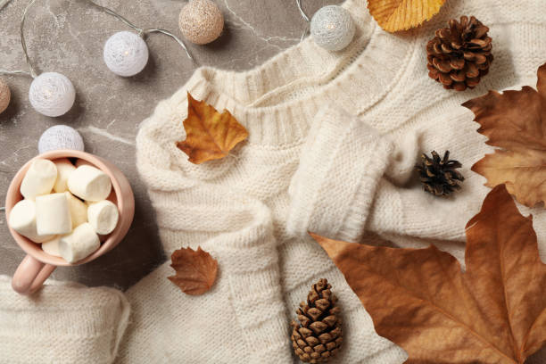 Pulls / Robes pulls/Vestes